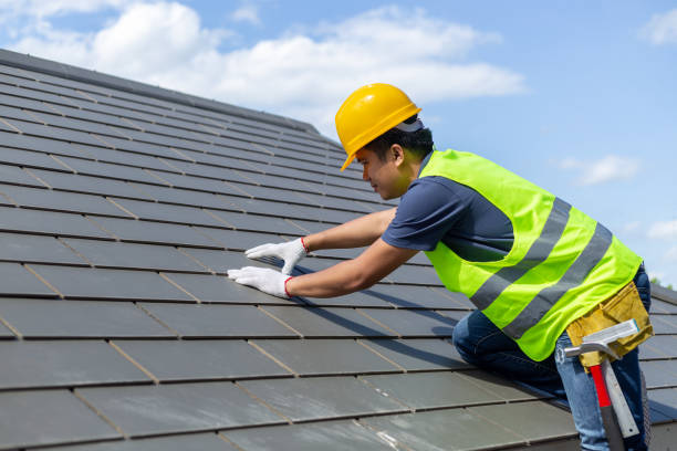 Roof Gutter Cleaning in Villa Grove, IL