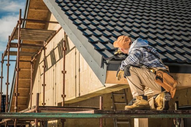 Best Roof Restoration Services  in Vla Grove, IL