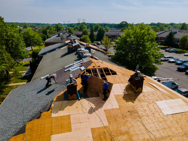 Best Roof Replacement Cost  in Vla Grove, IL