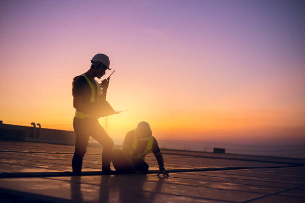 Best Roof Gutter Cleaning  in Vla Grove, IL
