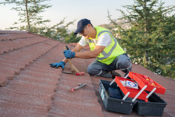 Best Flat Roof Repair Services  in Vla Grove, IL