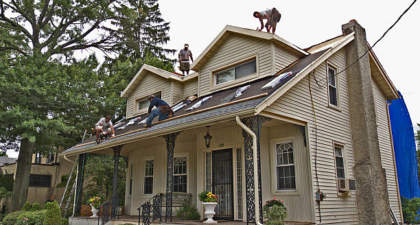 Best Commercial Roofing Services  in Vla Grove, IL