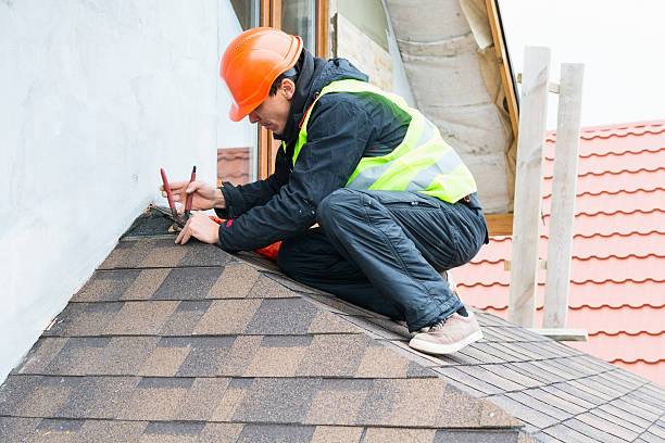 Best Roof Waterproofing Services  in Vla Grove, IL