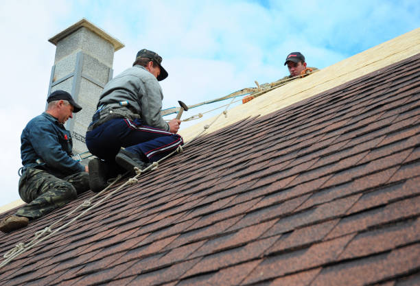 Best Metal Roofing Contractor  in Vla Grove, IL
