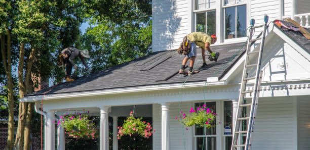 Best Roof Repair Services  in Vla Grove, IL